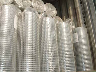 Welded wire mesh