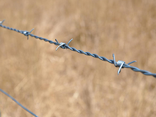 barbed wire